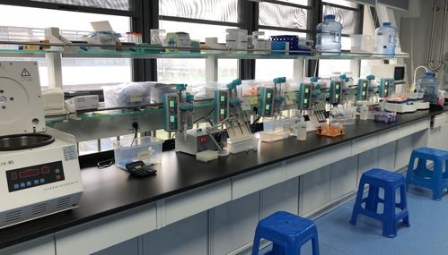 早篩新星天浚元生生物獲國高生物戰投，開啟健康與環保跨界創新